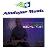 Andrew Ford’s Bass Groove Survival Guide Produced by Truefire.com