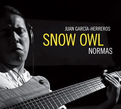 Juan Garcia-Herrero- The Snow Owl-1