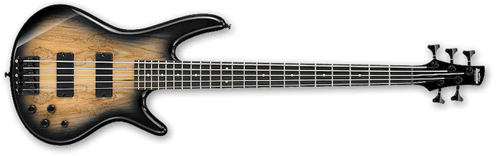 Ibanez GIO GSR205SM 5 String Bass Review