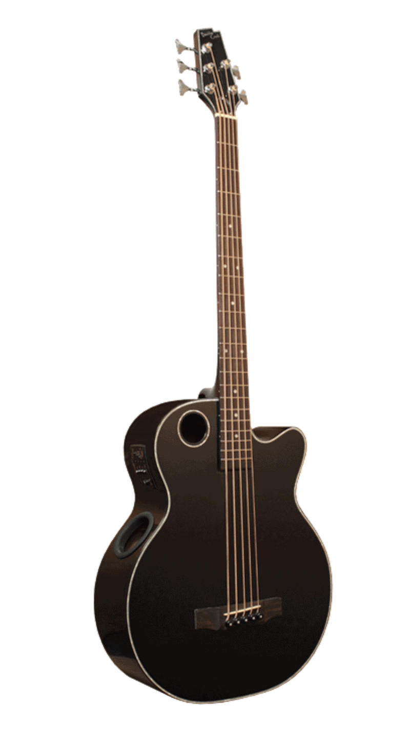 Boulder Creek Bass Review - EBR1-B5 5 String Acoustic/Electric Bass Review
