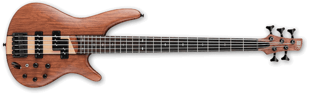 Bass Review - Ibanez SR755 5 String PJ Bass