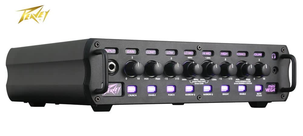 Peavey MiniMEGA 1000 Bass Amplifier Head Review