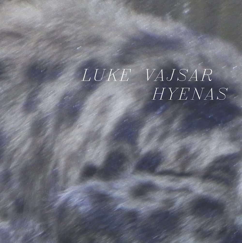Solo Bassist Luke Vajsar Announces Latest Album, Hyenas