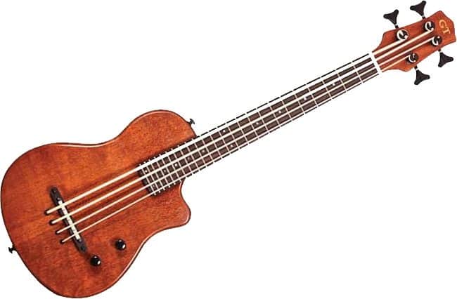review-gold-tone-me-bass-micro-4-string-electric-bass