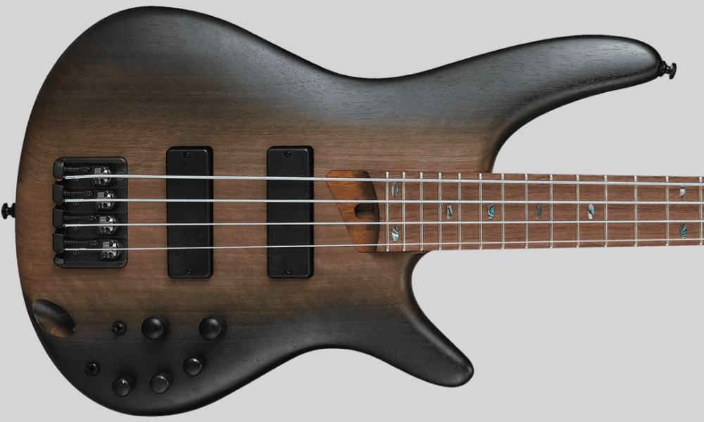 Ibanez SR500E 4-String Bass Review - Bass Musician Magazine, The