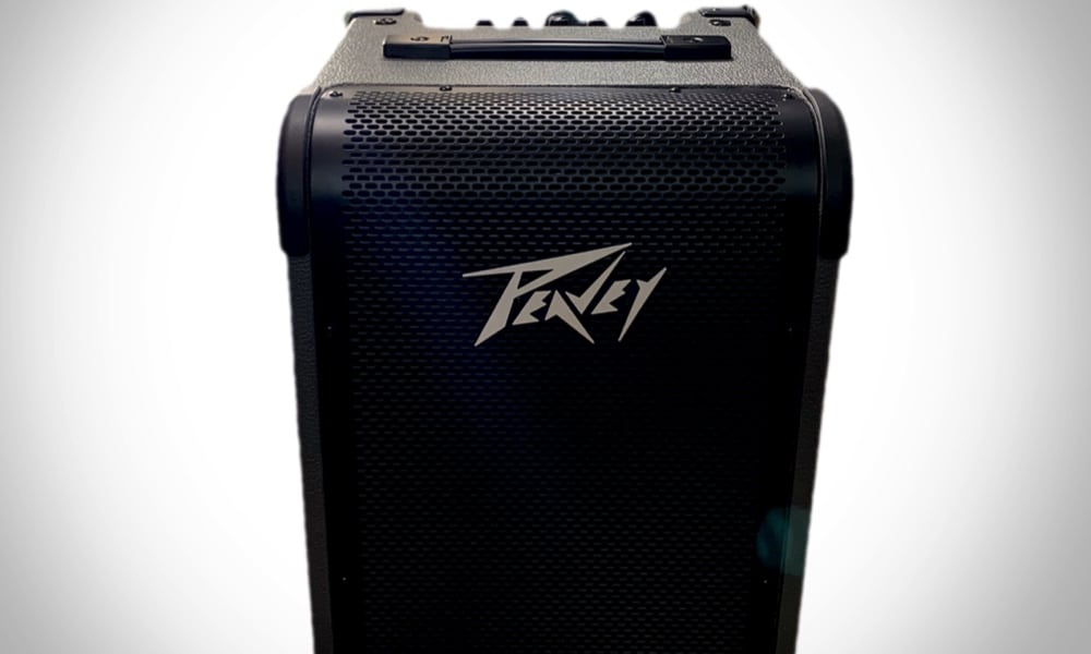 The Peavey MAX 208 Review, Made for Performing Bassists - Bass