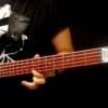 Rickenbacker 4003 S5 5-string Bass Demo