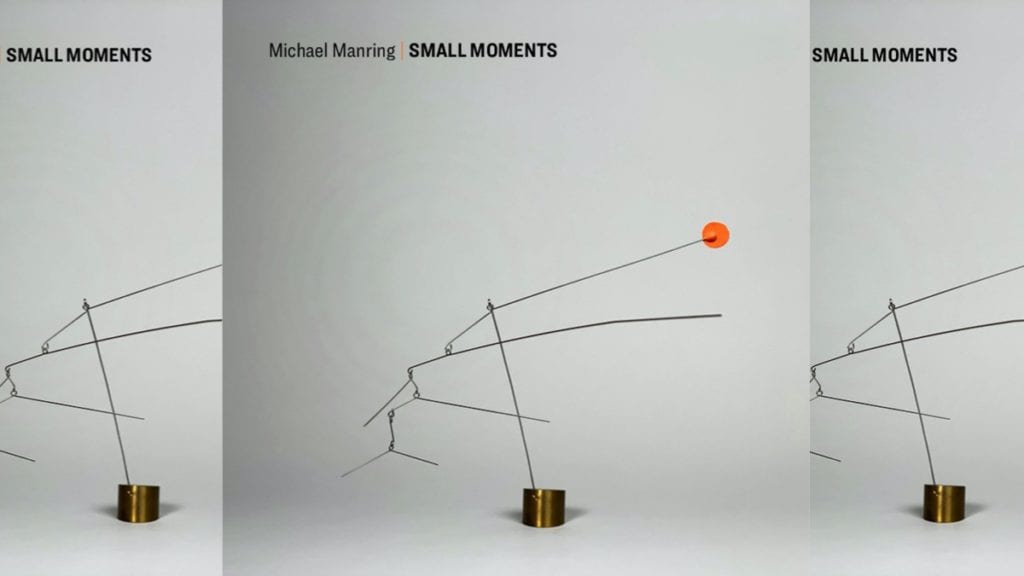 Michael Manring Releases New Solo Bass Album, "Small Moments"