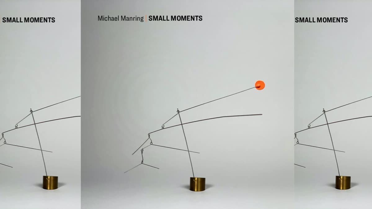 Michael Manring, Small Moments