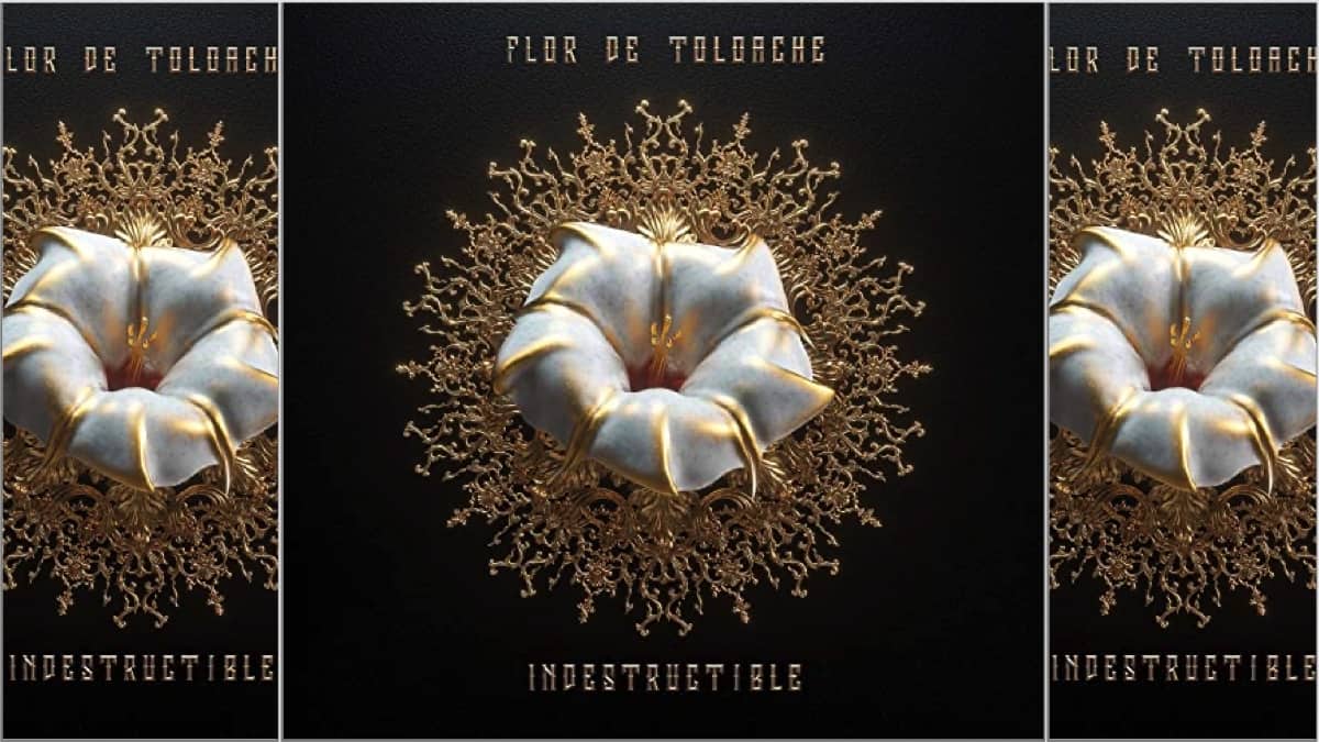 Review: Flor de Toloache, Indestructible