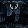 Pattern-Seeking Animals announce third studio album ‘Only Passing Through’.