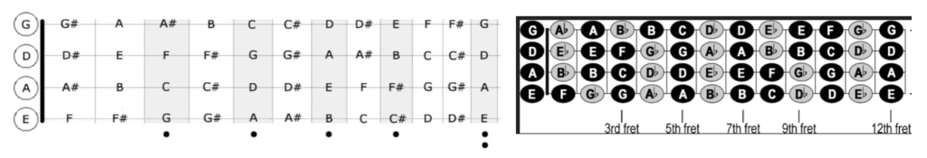 Get to Know Your Bass Fretboard