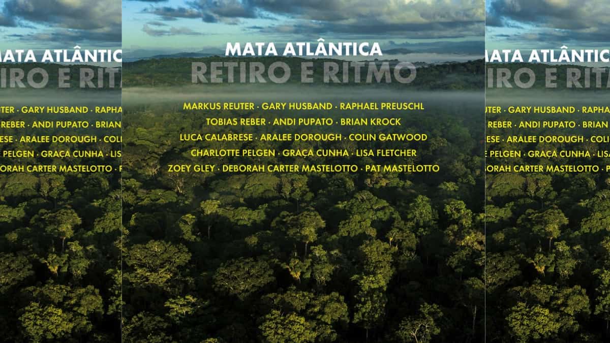 New Album Mata Atlantica Retiro E Ritmo Bass Musician Magazine The Face Of Bass