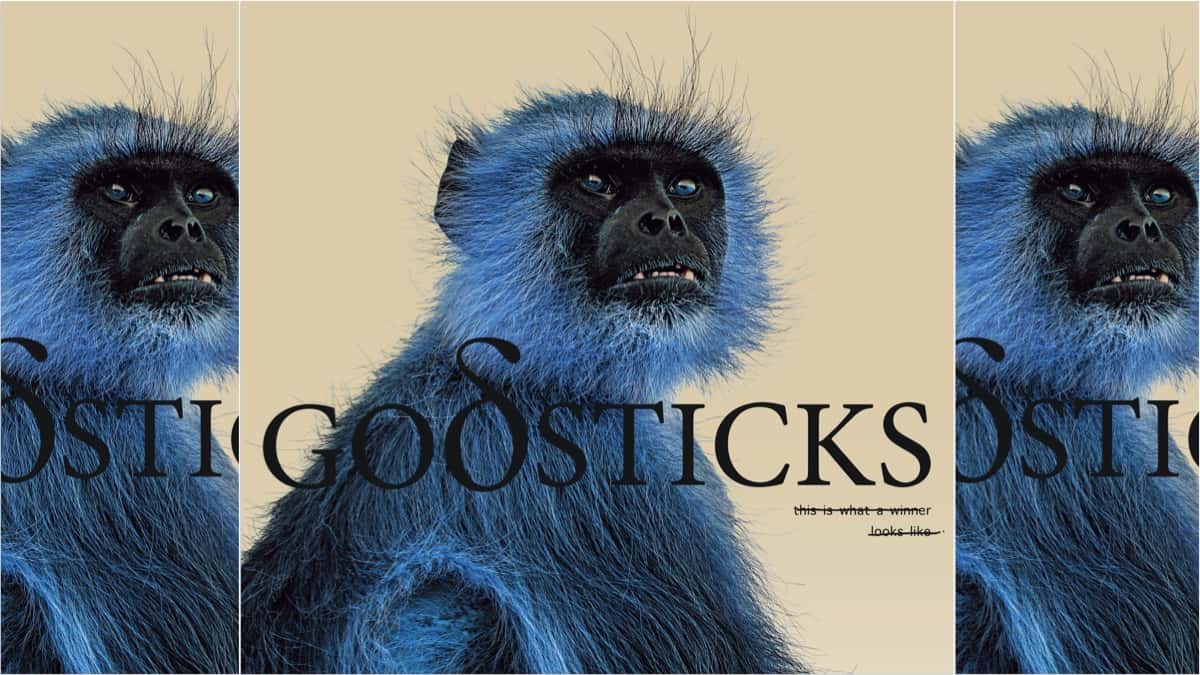 New Album: Godsticks, This Is What A Winner Looks Like
