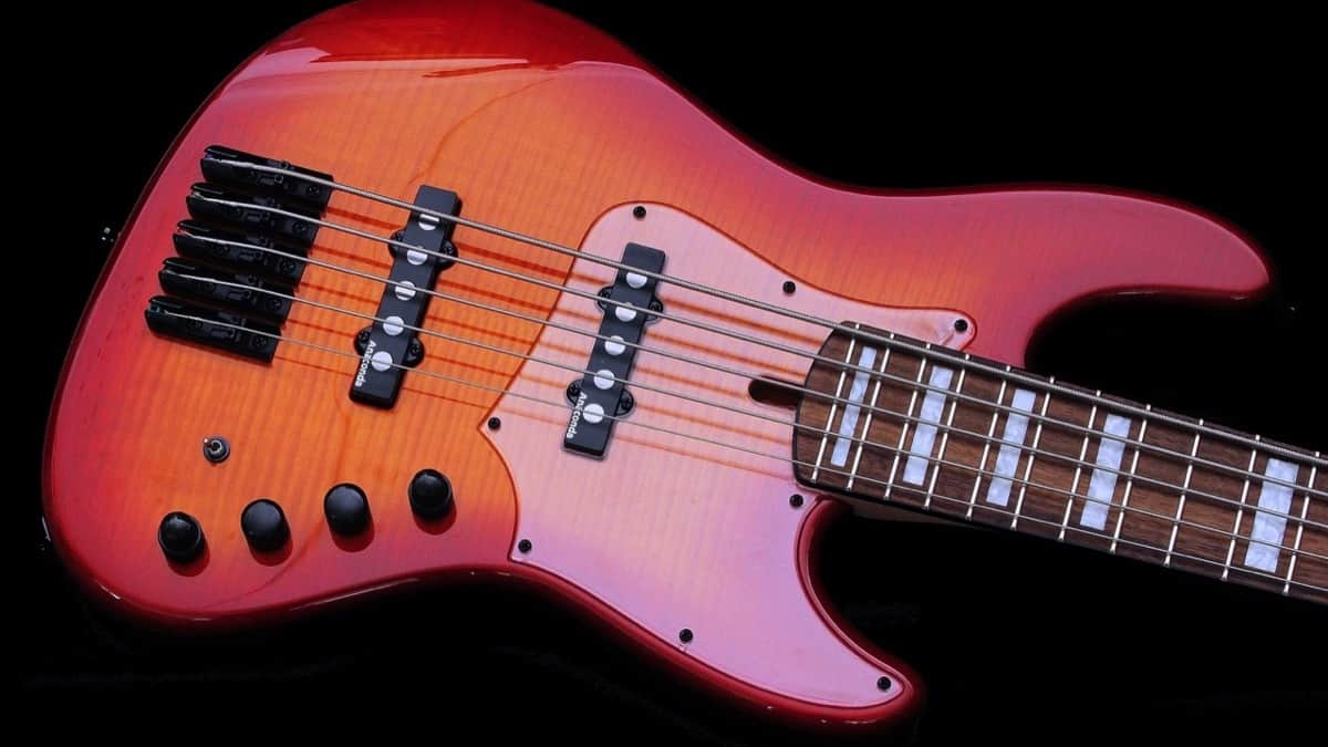 Review: Anaconda Basses Ultra J5 Essence Bass