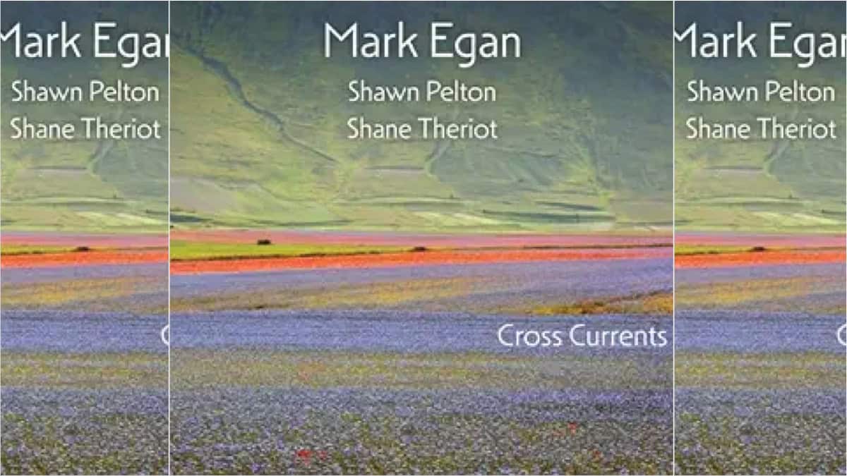 Album Review: Mark Egan, Cross Currents